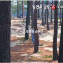 주문진시장약국 이미지