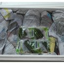 용강농장 이미지