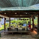 연하엽구름다리 | 괴산 여행 가볼만한 곳 산막이옛길 주차부터 선박 비교