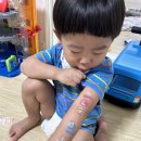 베크닉 | 아이 둘과 함께하는 일상 스타벅스 더북한산점 서울대공원 나들이