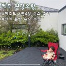 또와목장 | 제주도 아기랑 동쪽 여행 월정리 마당있는 독채펜션 &lt;월정소랑&gt; 3박4일 솔직후기
