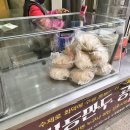 신포 이미지