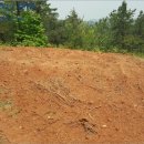 기동리 마을회관 이미지