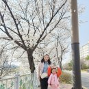다이소전주하가점