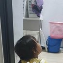 유부생각 이미지