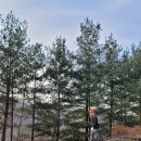 대영힐스CC | 충주 대영힐스cc 날씨와 가성비 좋았던 미,청코스 첫 라운딩 후기