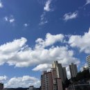 코끼리세차장 이미지