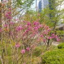 예담작은도서관 이미지