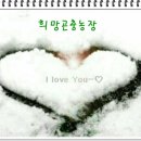 희망곤충농장 이미지