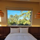 애월 하루 이미지