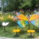 수창빌딩 이미지