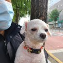 이용철동물병원 이미지