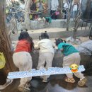 동물원 화장실 | 🐣 또 가자고 난리난 이유 있음! 청주 쥬니멀동물원 재방문 후기