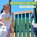 유치 발치 시기와 비용 영구치 마지막 어금니 나는 시기