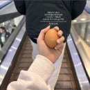 카페왕콩 | W4. 웨딩링 졸업 💍 (보다주얼리/영신주얼리/조이아주얼리/종로예물)