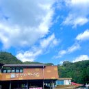 (주)스카이워크 | 충북 단양 가볼만한곳 여행 코스 만천하스카이워크 짚와이어 짚라인 후기