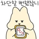 낭만청춘 이미지