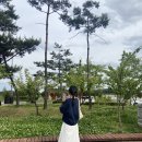 일상의작은변화 이미지