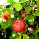 영화마을 이미지