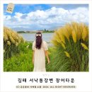 서  변 이미지