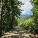 신기4길 이미지