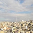 더 시타델 이미지