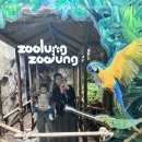 이랴이랴 워~워 | [week 38] 8개월 아기 바나나, 8개월 아기 과일, 스프링카, 뽀로로 스프링카, 하남 주렁주렁, 실내...