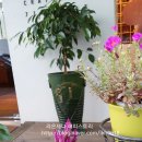 일무라노(안경공방) 이미지