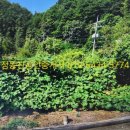 정동진 공인중개사사무소 이미지