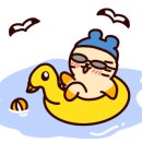 아침고요체험 살피꽃다방 네이버블로그