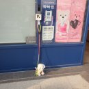 파리바게뜨완주