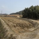 신북공인중개사 이미지