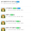 충주농약마트 | 충주 피해농가 살리기 초당옥수수 논란