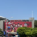 롯데수원점 정관장 | 2026 KBL 플레이오프 4강 2차전 KCC vs 정관장 직관 후기