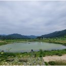 곡성-262 티스토리