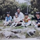 보현보민