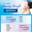 선에스테스파 이미지