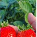 라파힐링센타 이미지