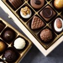 Wellness Gym 이미지