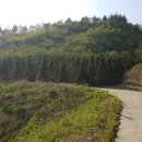 명당터부동산공인중개사사무소 이미지