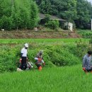 고추골솔바람마을 이미지