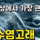 봉엔지니어링