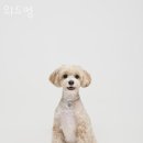 위드멍 이미지