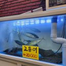 경아회수산 이미지