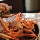 오이소홍게무한리필 이미지