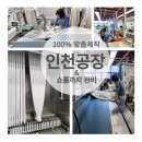 자이수선 이미지