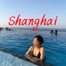 원대휴랜드 | 마이리얼트립 쿠폰 5월 할인코드 + 상하이 공항에서 시내 (디즈니랜드) 가는 법 내돈내산 후기
