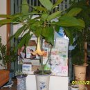 화천보건진료소 이미지