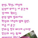 세왕