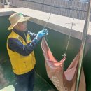 덕정3통마을회관 이미지